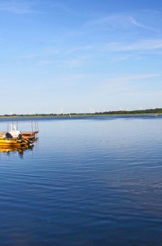 Dąbki Jezioro Bukowo